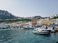 Insel Capri - Marina Grande