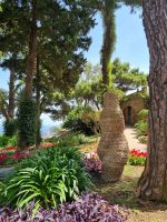 Insel Capri - Capri-Zentrum (Augustusgarten)