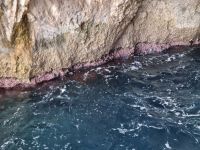 Insel Capri - Schifffahrt rund um die Insel... (Korallengrotte oder Rote Grotte)