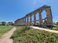 Paestum - Hera-Tempel