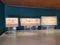 Paestum - Archäologisches Museum (Grab des Tauchers)