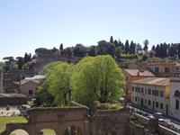 Forum Romanum