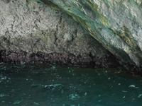 Inselrundfahrt Capri