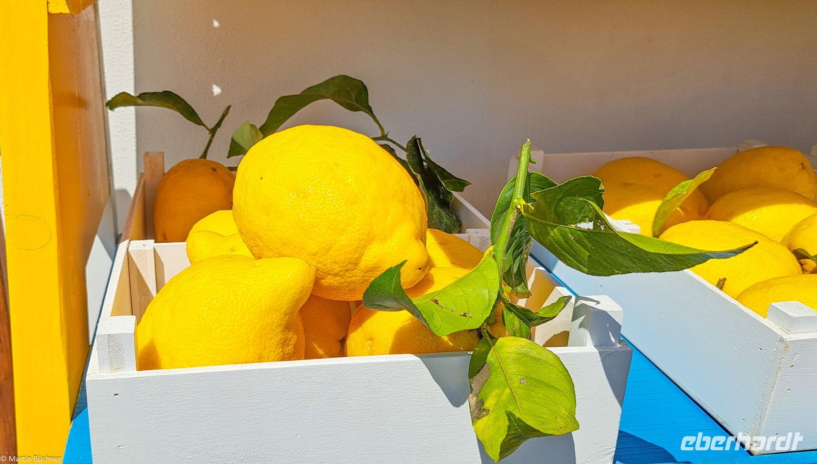 Amalfi - im Land wo die Zitronen wachsen