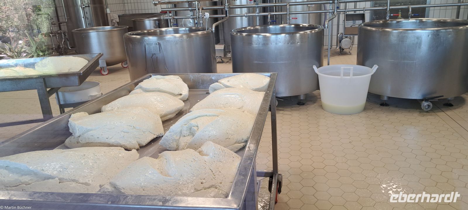 Paestum - Vannulo Büffelfarm - Mozzarella