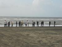 mit Meeres-Schnuppern am Strand von Ostia