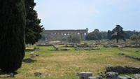 Tempel von Paestum