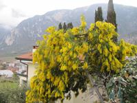 ...unser erster Frühlingstag in Riva