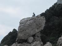 Capri Rundfahrt mit dem Schiff