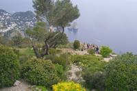 Insel Capri (auf dem Monte Solaro)