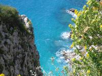 auf der Insel Capri ...