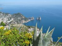 auf der Insel Capri ... (Blick auf die Faraglioni-Felsen)