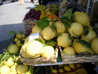 Amalfiküste (Eßzitronen=Cedros)