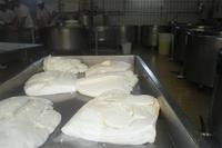 Büffelfarm Vannulo bei Paestum (Mozzarella)