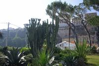 am Hafen in Sorrent ...