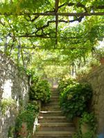 Rundgang in Anacapri