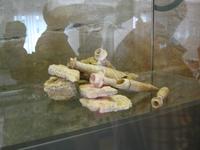 Einzelfunde im Museum