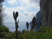 Capri - Ausblick vom Augustusgarten