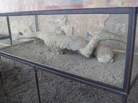 Opfer der Pompej-Katastrophe