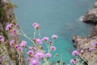 Blick von Augustus-Gärten auf die Klippen