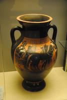 wertvolle Amphoren  Funde aus Paestum