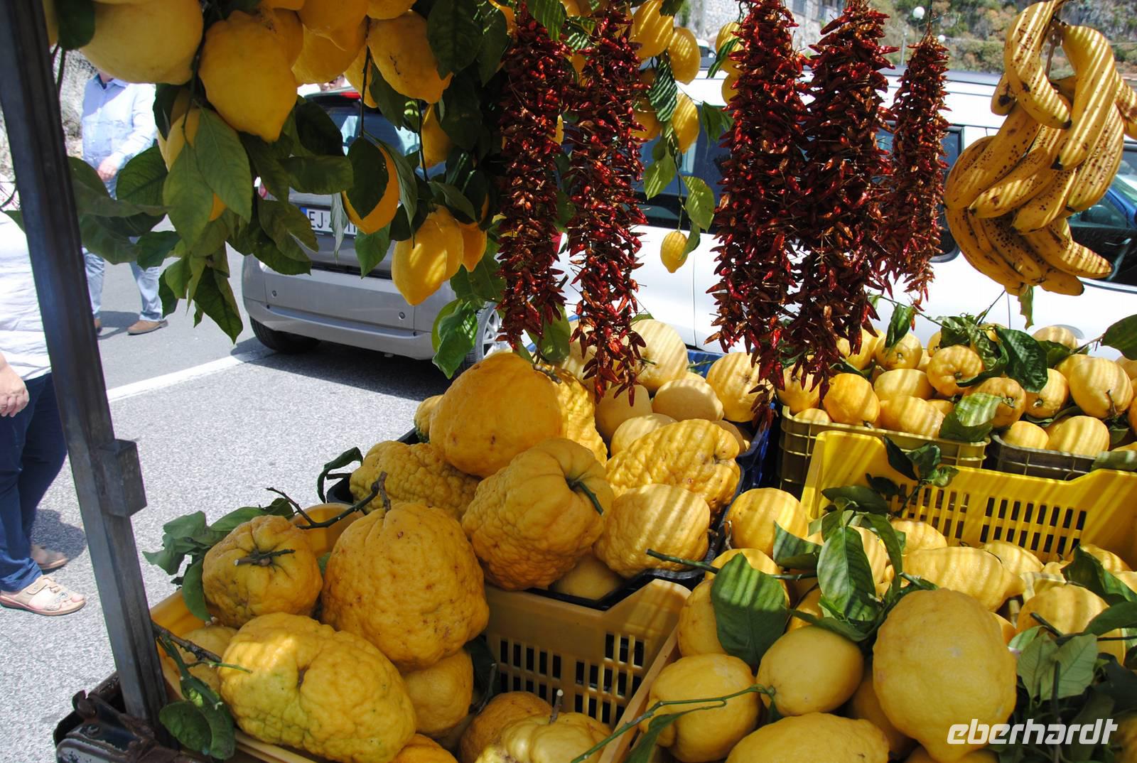 Stand mit Cedro-Früchten (übergroße Zitronen)
