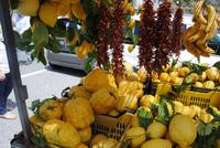 Stand mit Cedro-Früchten (übergroße Zitronen)