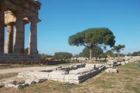 Ruinen von Paestuim