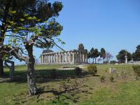 Paestum (Cerestempel)