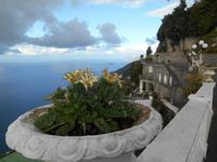 Ausblick om Grand Hotel 