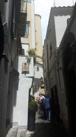 Amalfi