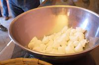 Besuch der Büffelfarm Vannulo (Verkostung von Mozzarella)