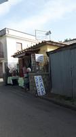 Besuch eines Ölbauern in Termini