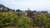 Capri-Zentrum (Karthäuserkloster)
