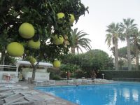 Hotelareal
