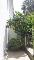 Insel Capri (Anacapri)