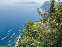 Insel Capri - Anacapri (Blick auf Marina Grande)
