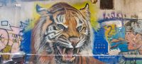 Napoli - Neapel - Naples - Streetart