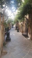 Orvieto (Altstadt)