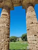 Paestum - Blick vom Neptun-Tempel zum Athena-Tempel