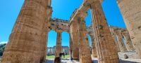 Paestum - Griechischer Hera-Tempel