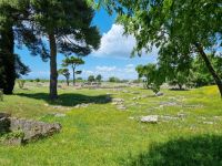 Paestum 