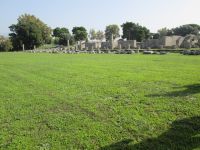 Paestum: Forum