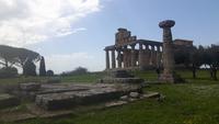 Paestum