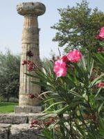 Paestum