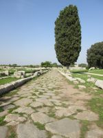 Paestum