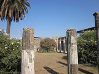 Pompeji (15)