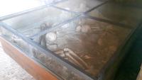 Pompeji