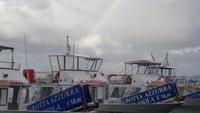 Regenbogen ...