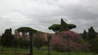 Rom (Caracalla-Thermen)